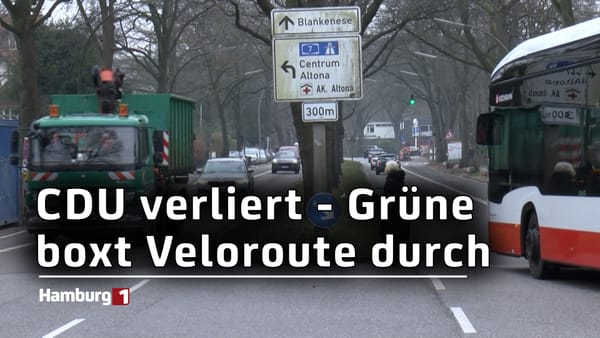 Baustelle Reventlowstraße: Grünen-Bezirksamtsleiterin boxt Veloroute durch