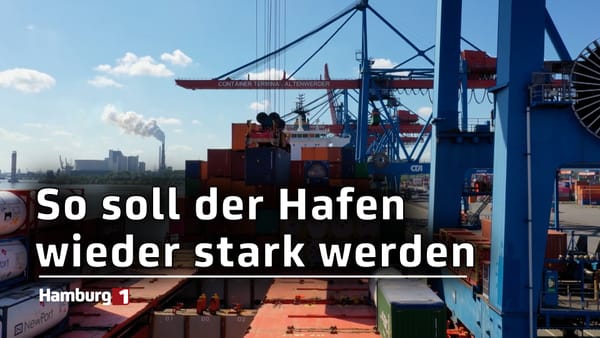 Wirtschaftskraft Hafen: Nationale Strategie stärkt den Standort Deutschland